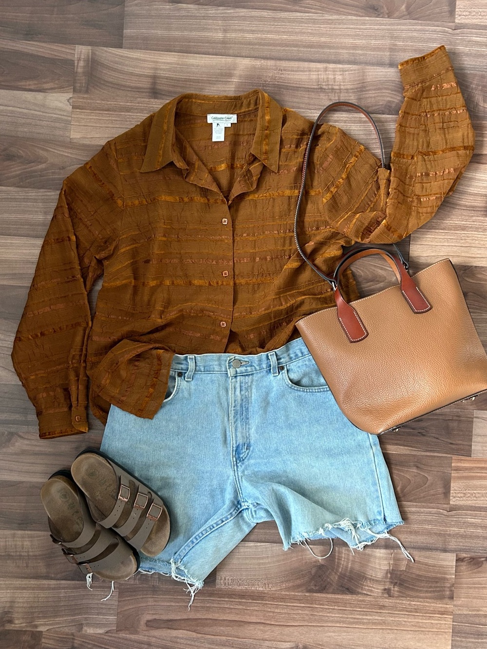 Retro Stripped Sheer Button up Blouse